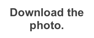 Download the photo.